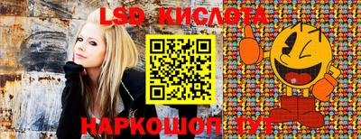 спиды Дубна