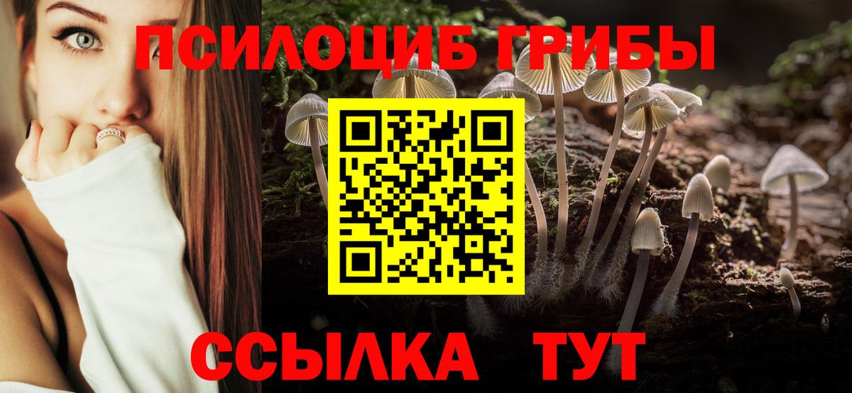 Псилоцибиновые грибы мицелий Муром