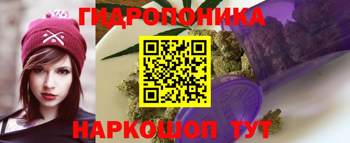 Каннабис гибрид  Марихуана план  Вход с VPN  Бошки марихуана план  Муром  МАРИХУАНА White Widow 